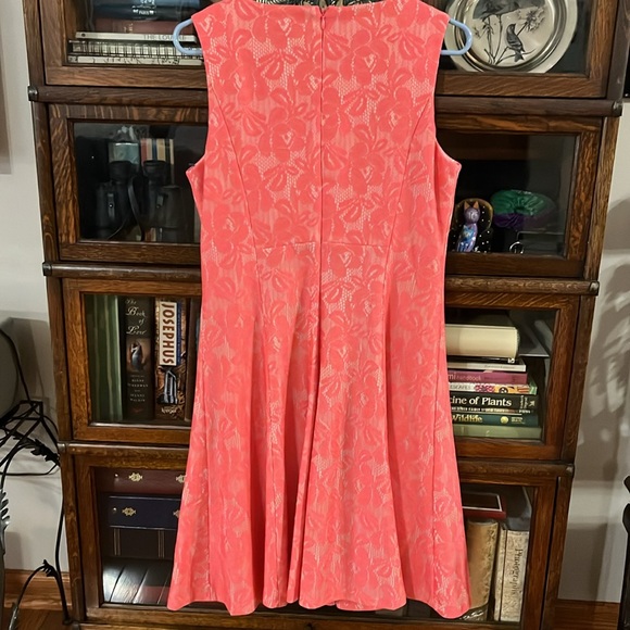 American Living Pink Lace Fit & Flare Dress - Picture 6 of 16